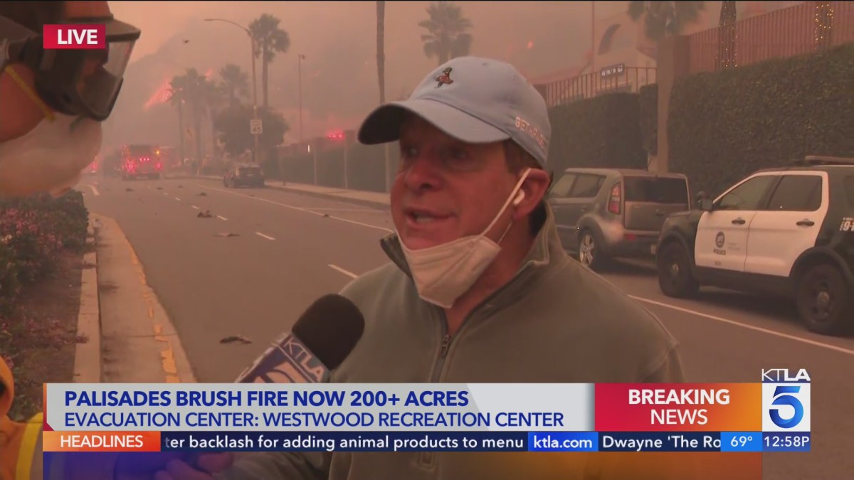 Actor Steve Guttenberg recounts his Palisades Fire experience